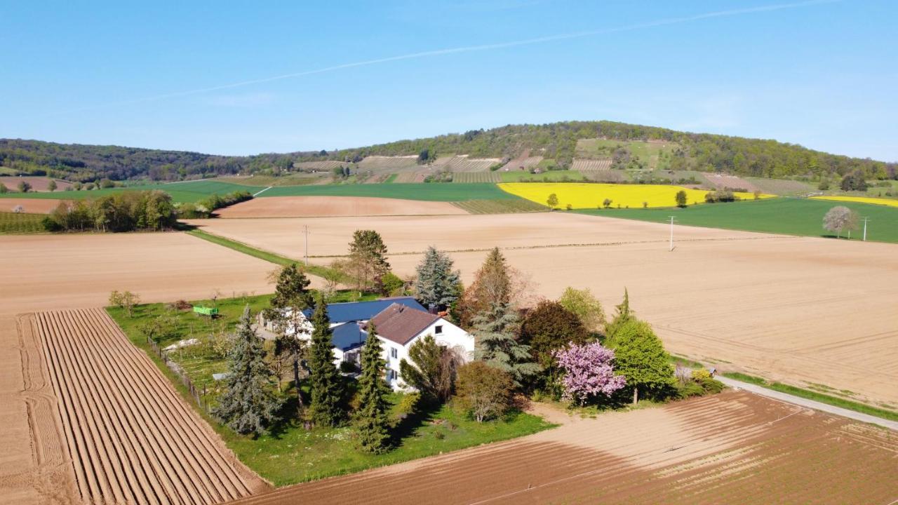 Ferienwohnungen Rosenhof Karlstadt Buitenkant foto